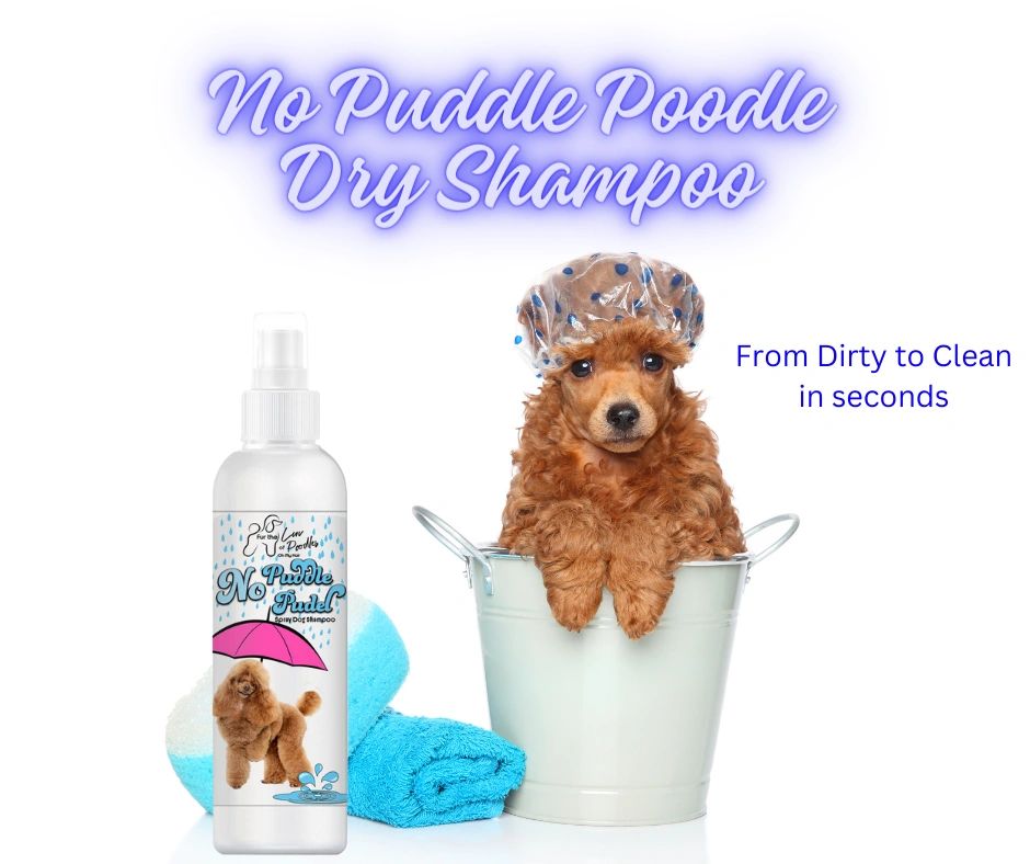 No Puddle Poodle Dry Shampoo